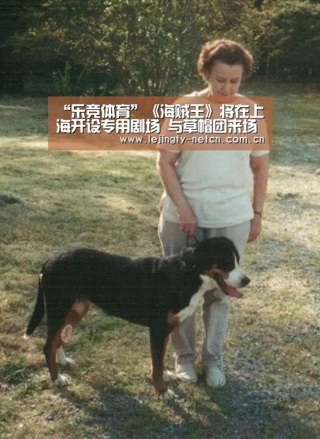 乐竞官网