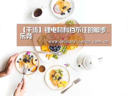【干货】锂电材料挡不住的脚步_乐竞(图2) 乐竞体育