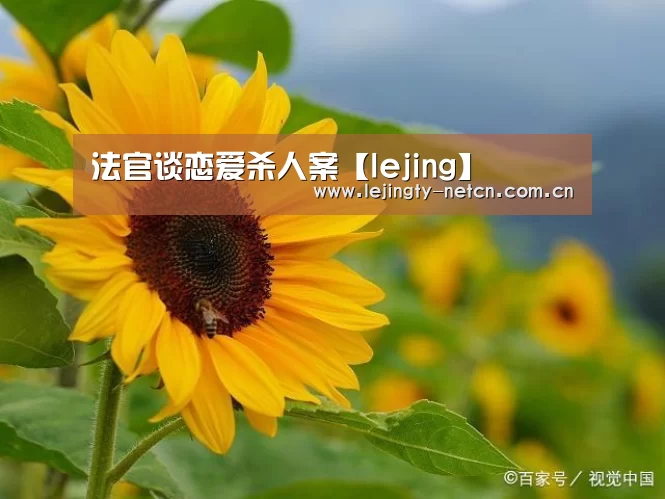 法官谈恋爱杀人案【lejing】(图3) 乐竞官网