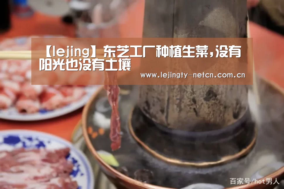 【lejing】东芝工厂种植生菜,没有阳光也没有土壤(图2) 乐竞体育