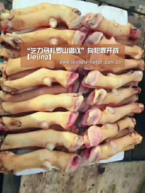 “乞力马扎罗山倡议”向犯罪开战【lejing】(图2) “乞力马扎罗山倡议”向犯罪开战【lejing】(图2)